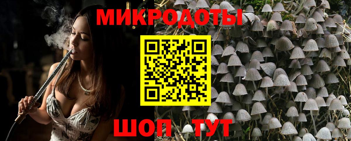 Галлюциногенные грибы GOLDEN TEACHER  Псилоцибиновые грибы Psilocybe  Вход с VPN  Мытищи 